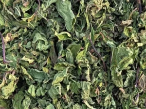 Mint leaves
