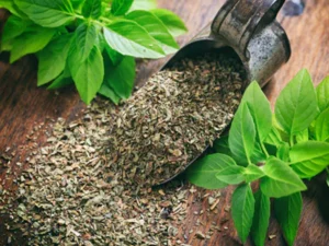 Dried Basil Leaves