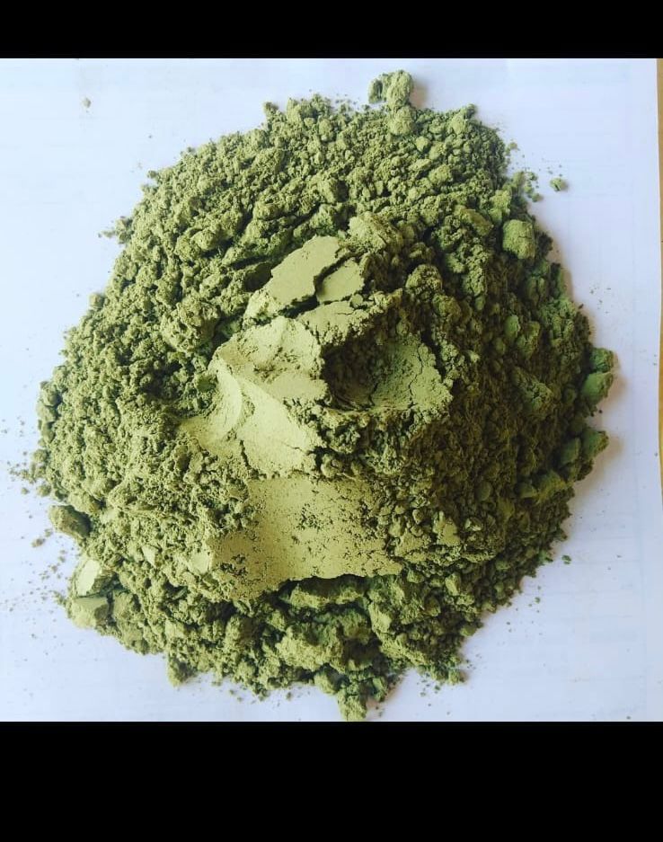 Moringa powder