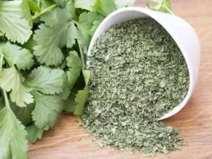 Dried Coriander Leaves