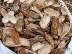 Dried Mango Pieces/Slice